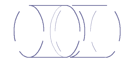 subatomic particle constitution
