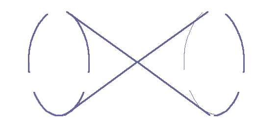 subatomic particle constitution