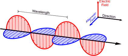 subatomic particle constitution